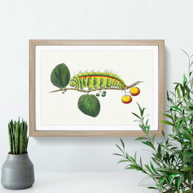 Caterpillar by George Shaw - Picture Frame Painting Print, Oak Framed, 27cm H x 36cm W x 2cm D