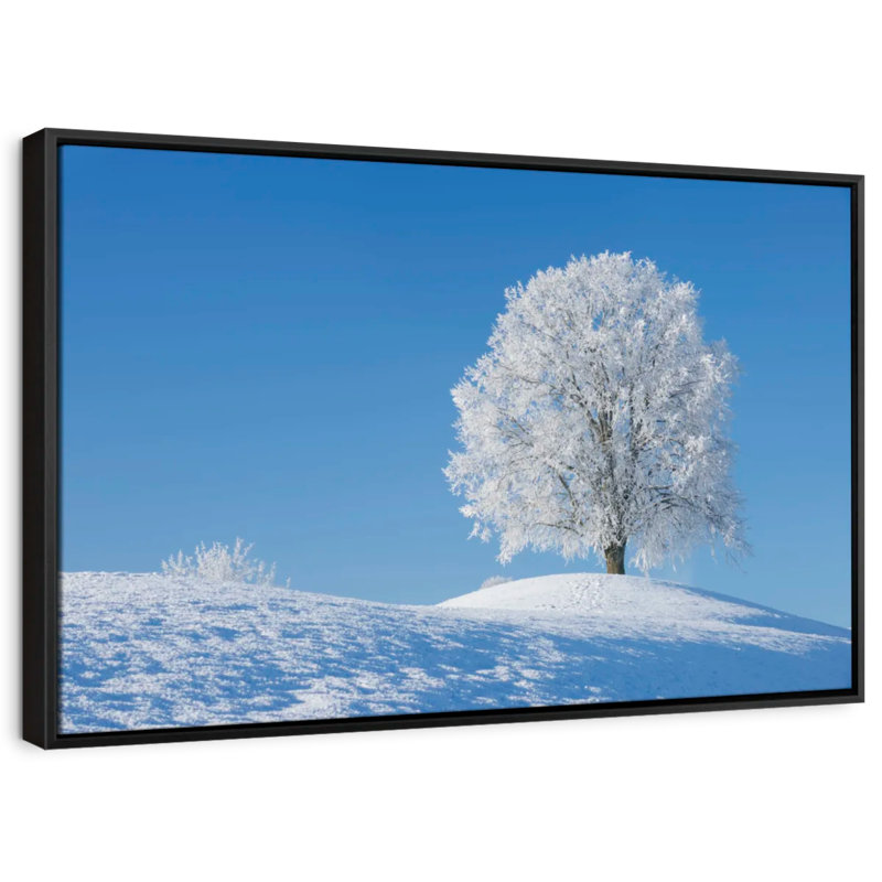 Frosty Lime Tree Canvas Print