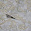 Papier peint damassé victorienne