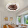 Jayonte 11.42'' Ceiling Fan with LED Lights