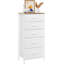 Rikeisha 5 Drawer Storage Drawer-67913837