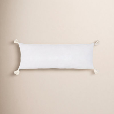 Bianca Velvet Pillow Cover & Insert
