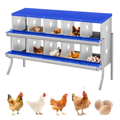 Boîtes de nidification pour poulets de 55 pouces à 10 compartiments bleues pour poules pondeuses Boîtes gigognes pour poules pondeuses
