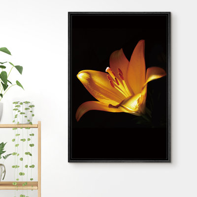 Gros plan sur une fleur tropicale lys - photographie sur toile à cadre flottant