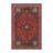 Wool Oriental Indoor Rug-1452542153