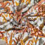 Ardmore Velvet Fabric-1122062742