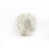 ivory is out of stock