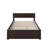 Daurice Solid Wood Platform Bed with Footboard & Full Roll Out Trundle-1217918275