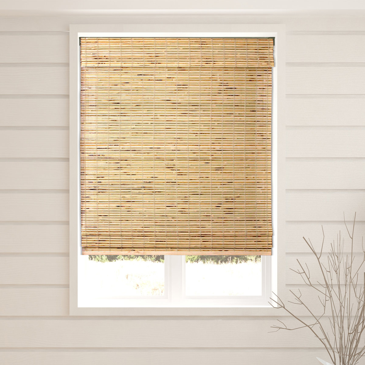 Arlo Blinds Petite Rustique Sheer Bamboo Roman Shades & Reviews | Wayfair