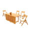 Surfliner Outdoor 5 - Piece Teak Dining Set