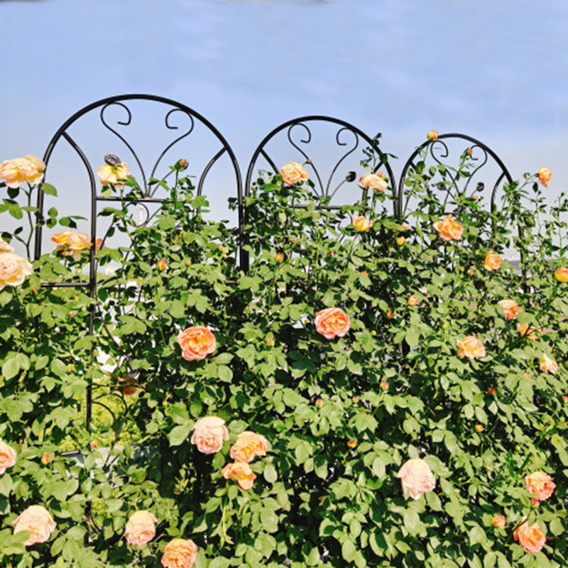 Paquet de 2 treillis de jardin en métal antirouille pour plantes grimpantes