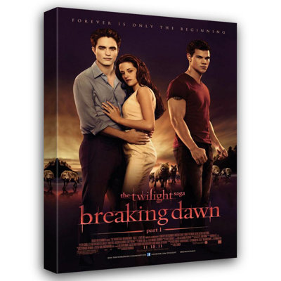 The Twilight Saga Breaking Dawn