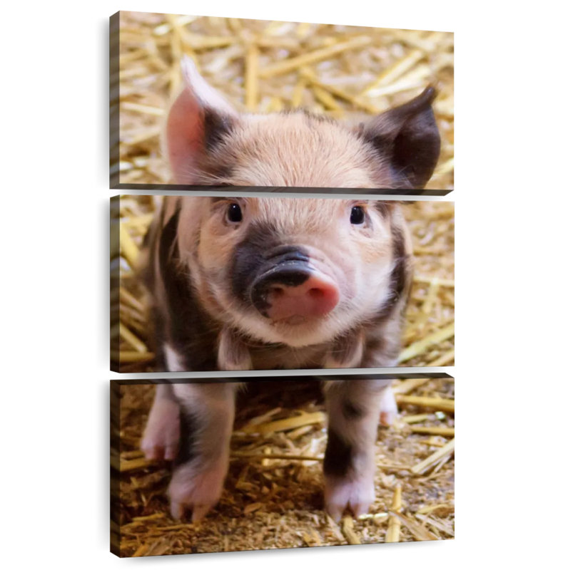 Brampt Farm Piglet, 38" H x 24" W