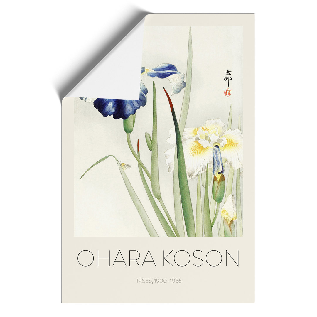 Irises Print by Ohara Koson - Frameless Print