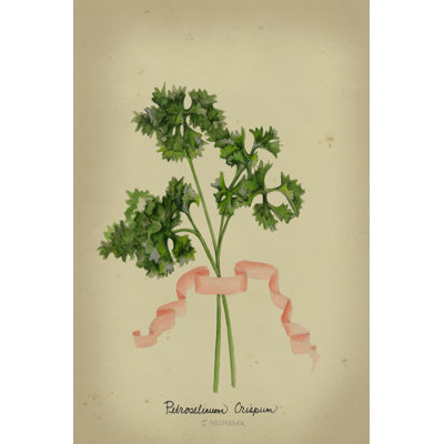 Herb Series II (AA)