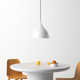 Newman Single Light Metal Dimmable Pendant