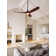 Baylor 60'' Ceiling Fan with LED Lights