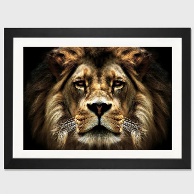 «The Lion», reproduction de photo