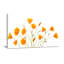 Plantes et fleurs de pavot orange sur fond blanc-285281305