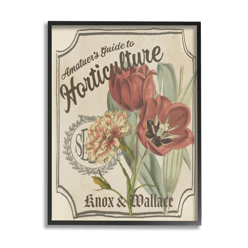 Art mural sur toile tendue en graine antique par tulipe rouge, Giclée encadrée noir minuit, H 20 po x l 16 po