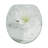 Round Toilet Seat and Lid