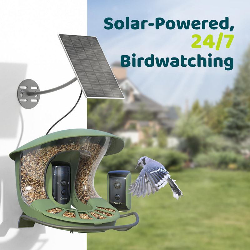 Birdfy 2 Smart Bird Feeder with Camera, Dual-Angle Views, 3 Lenses, AI Identifies 6000+ Birds, Wireless, Solar-Powered, Motion Detection, Gift Present