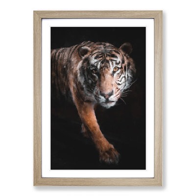 Prowling Tiger - Framed Print
