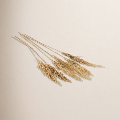 Mixed Assortment Arrangement