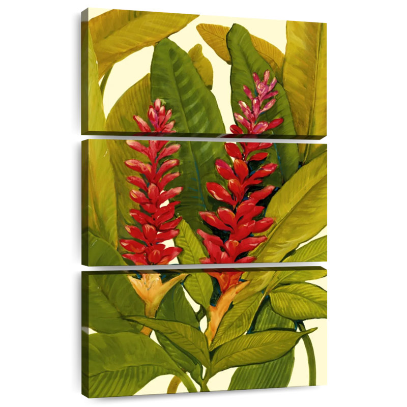 Gingembre rouge Harnek, H 32 po x l 20 po