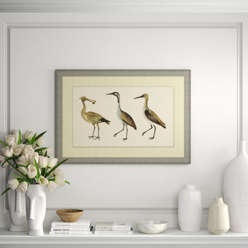 Coastal Birds 1 Print