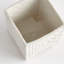 Ceramic Planter