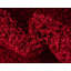 Dejour Solid Colour Area Rug-622733772
