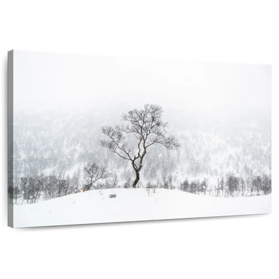 Alvord Tree Standing Alone