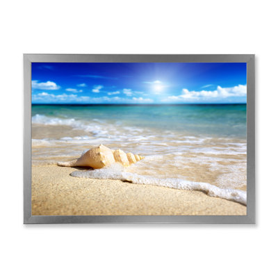 Grand coquillage dans le sable II - photographie sur toile