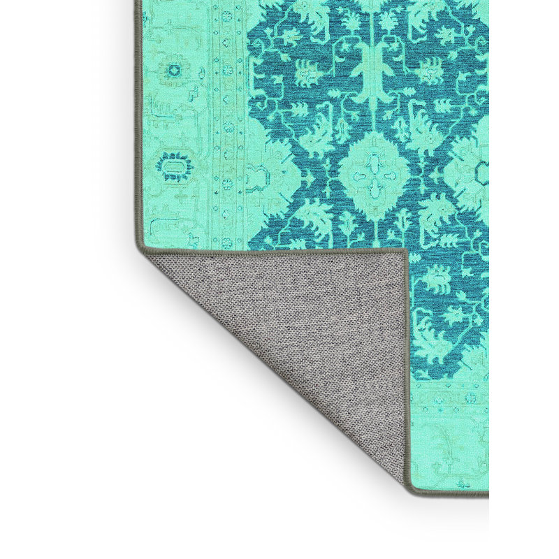 Washable Oriental Indoor Rug, Rectangle 2' x 4'