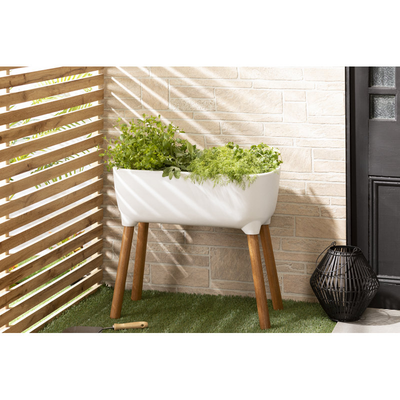 Jonah-Dillon Wood Elevated Planter, White
