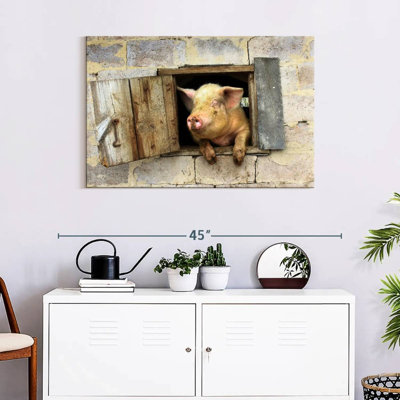 Brampt souriant cochon