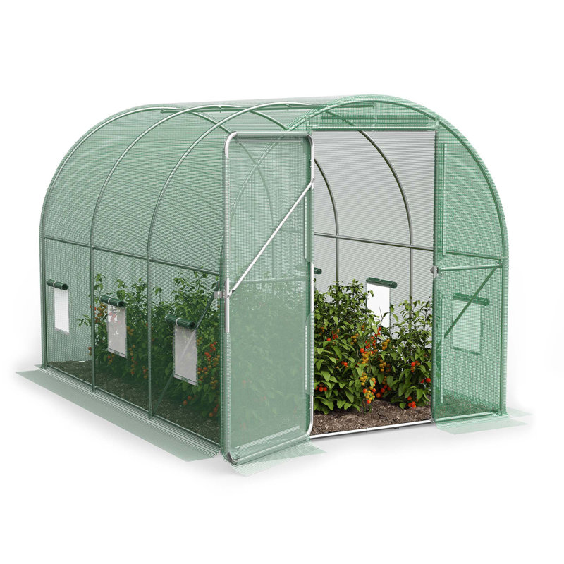 Polytunnel Greenhouse 3x2m
