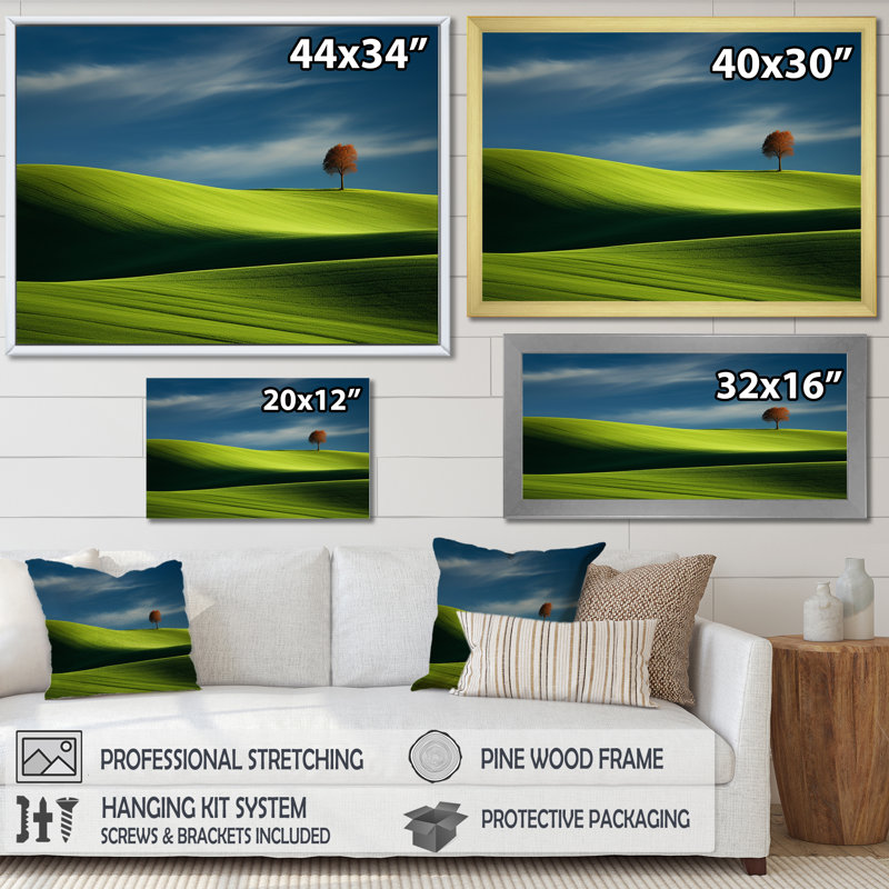 «Green Monicol Meadow», photo I sur toile, Cadre flottant blanc, H 34 po x l 44 po x P 1,5 po