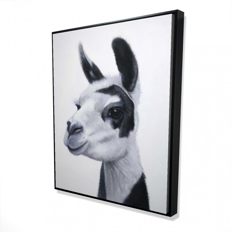 Black & White Lama - Office White Framed Canvas Decor