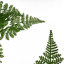 150cm Faux Moss Tree in Metal Planter-2028658795