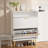 Modern 12 Pair Shoe Storage with 2 Flip Down Drawers,White Shoe Cabinet-980882356