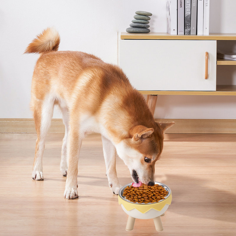 Bols pour chien surélevés de 5,6 po de diamètre protégeant les vertèbres cervicales, Crème / jaune