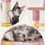 Arbre à chat Sievers-1377772143
