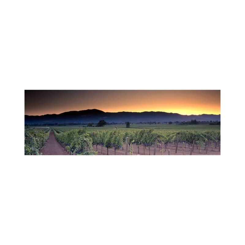 Vineyard Landscape, Napa Valley AVA, Napa County, California, USA - Giclée sur toile tendue avec châssis, H 20 po x l 60 po