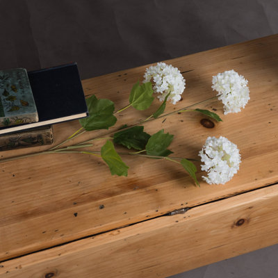 Viburnum Opulus Arrangement