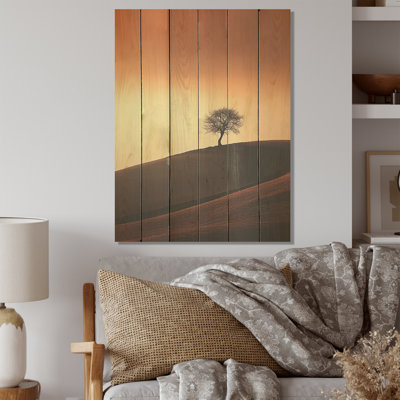 Autumn Sunset Abstraction Photography - Minimalism Wood Wall Art On Natural Pine Wood