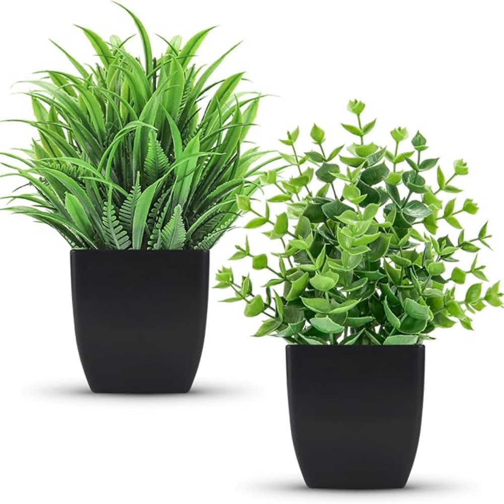 Primrue Der Rose 2 Pack Fake Plants Small Artificial Potted Plants Faux ...