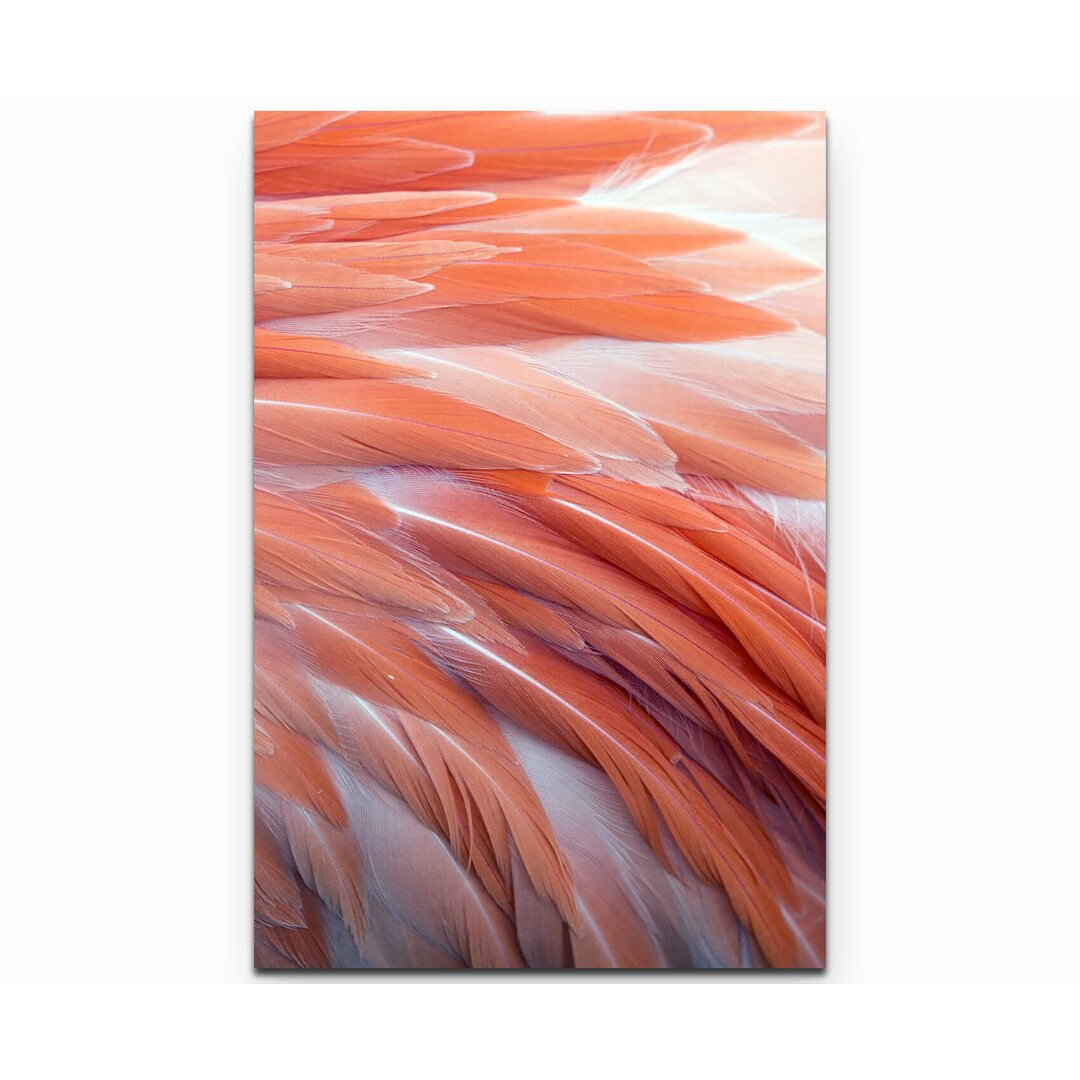 Leinwandbild Flamingo Federn