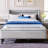 Chatmon Upholstered Storage Tywain Frame With Storage Ottoman Bench-924000972